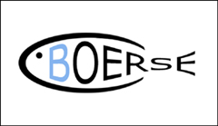 Fischbrse