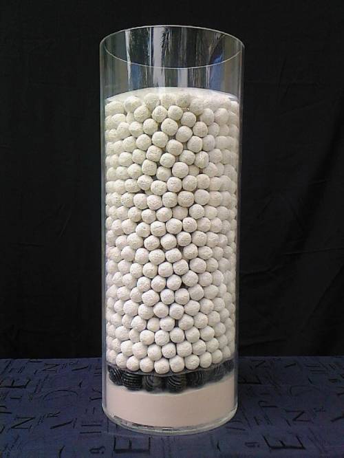 suche profesionellen aquaristik importeur