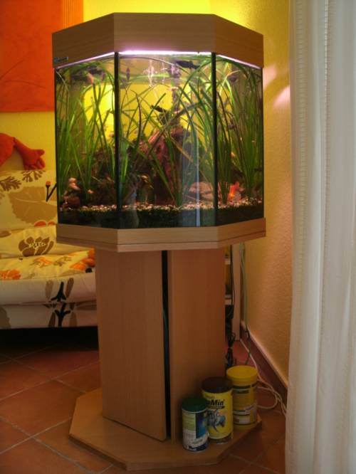  eck mp aquarium komplett set l buche
