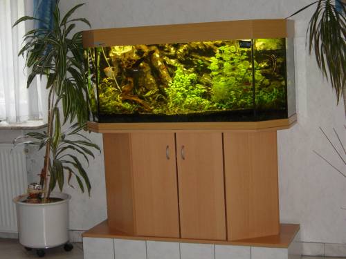 mp panorama aquarium l xh xt ca