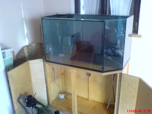 salzwasseraquarium mit unterschrank