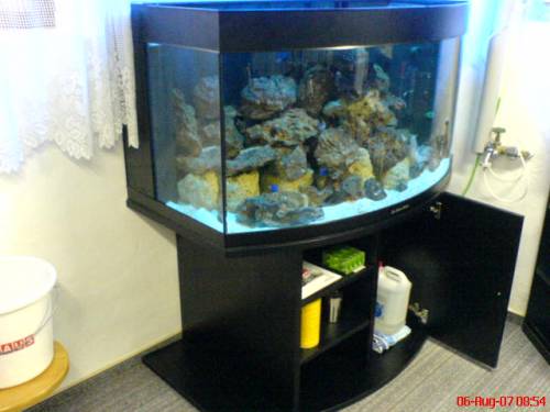 salzwasser aquarium aqua medic percula