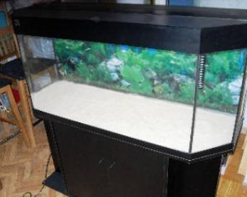  liter juwel aquarium panorama komplett