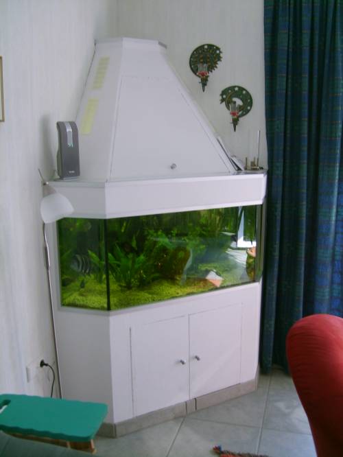 komplettes aquarium