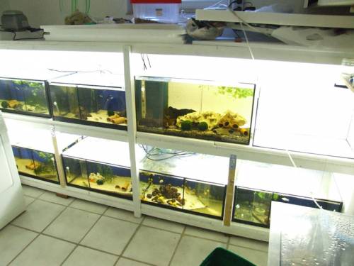 zuchtanlage komplett oder teilweise zu verkaufen