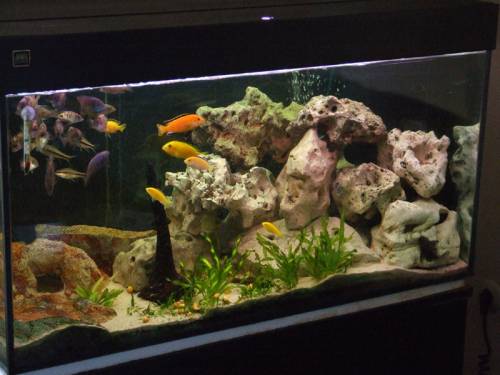 aquarium mit unterschrank