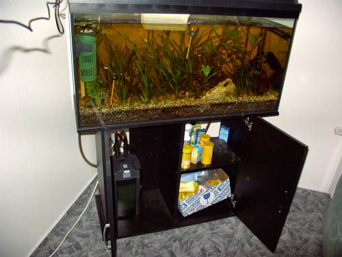komplett aquarium