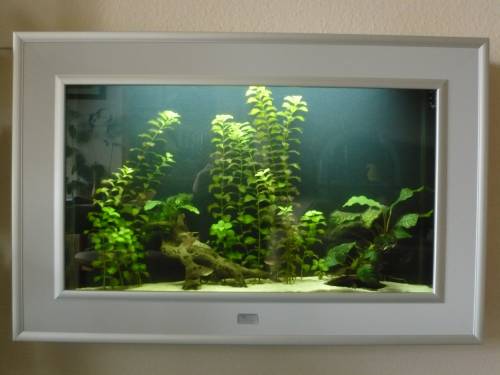 wandaquarium aquaplasma design wie flachbildfernseher