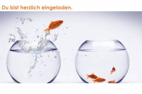 aquarienverein bb ldt ein am  