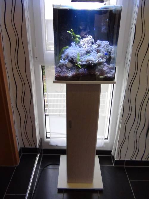 nano aquarium unterschrank l fr alle nanobecken 