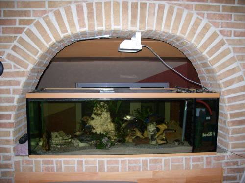 komplettaquarium l mit allem zubeh�r