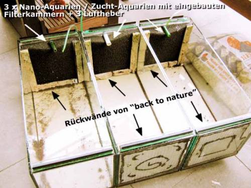  nano becken zucht aquarien mit zubehr