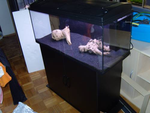 komplett aquarium l co neuer filter und sand
