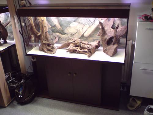 juwelaquarium l komplett