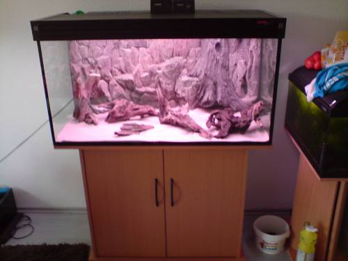 ausstellungsst�ck kommplett eheim professionel