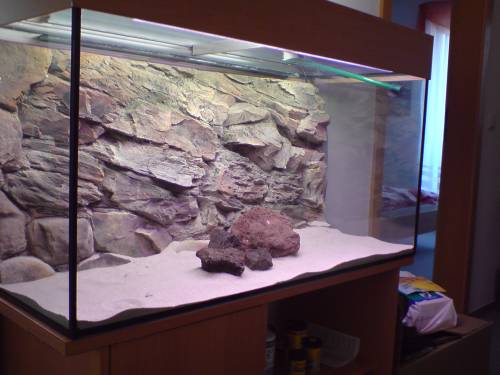 mp aquarium l co d rckwand