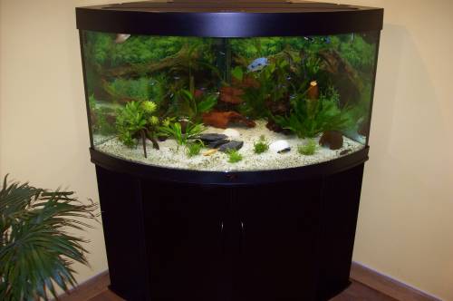  l eck aquarium
