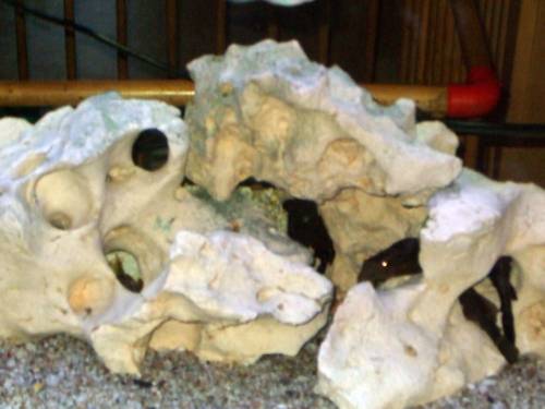 lochgestein zu verkaufen