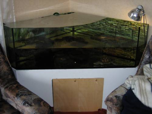 delta aquarium mit unterbau und filter zu verkaufen