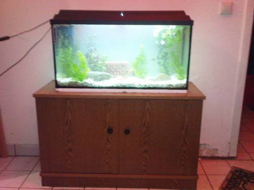  cm panorama aquarium abzugeben