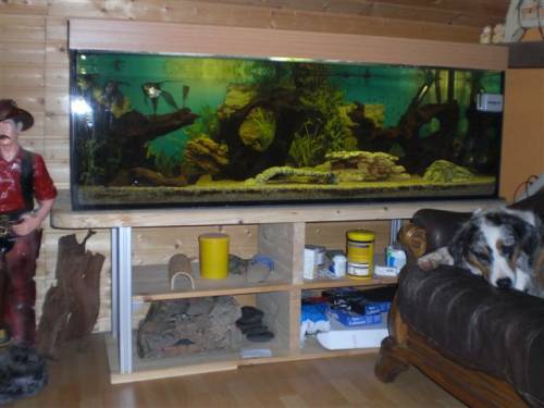 aquarium mit besatz ca liter