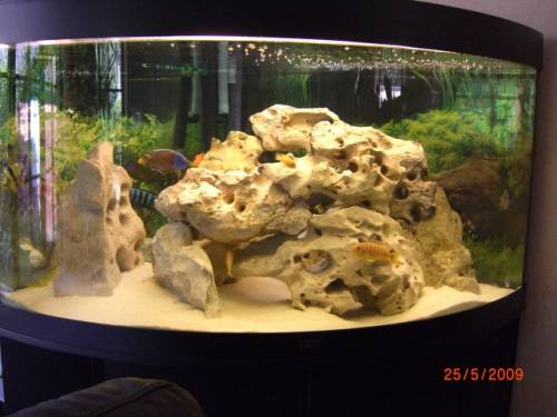 juwel l aquarium mit schrank kombination