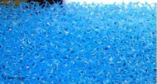  blaue filterschaum matten grob