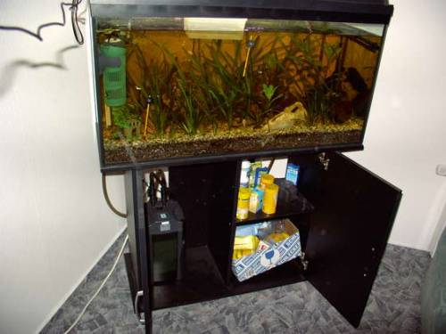 komplett aquarium liter x cm