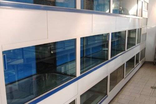 verkaufswand m f�r meerwasser oder s��wasserfische