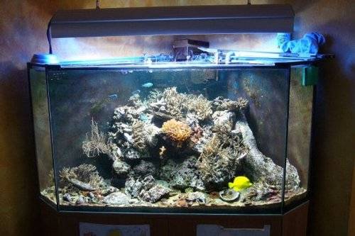  l meerwasser komplettanlage