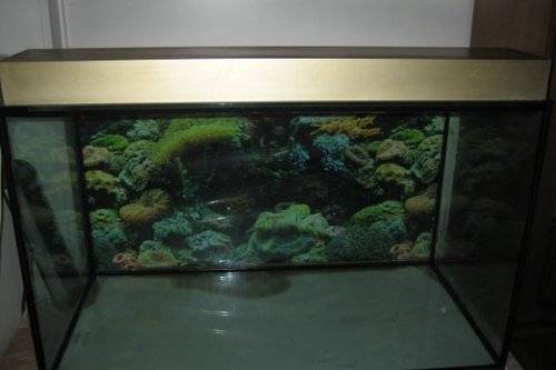 neonlampenkasten cm goldfarben mit r�hren