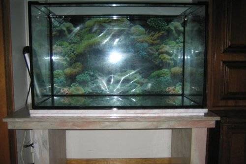 aquarium l mit mamor untergestell auch einzeln vb