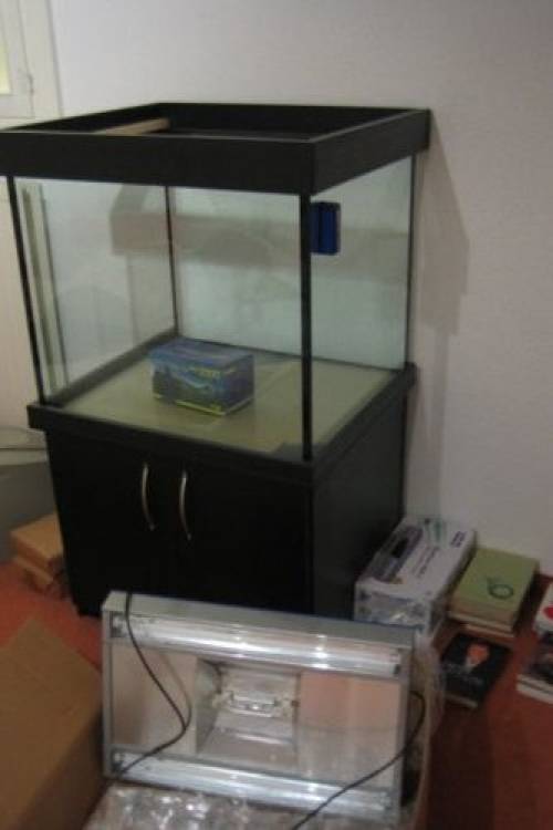 edele neue meerwasseraquarienanlage x cm