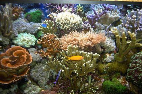  liter mischbettharz f�r reinstwasser