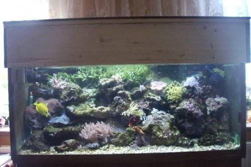 meerwasseraquarium l vb eur