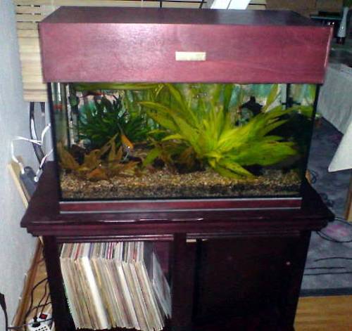 komplettaquarium liter x cm