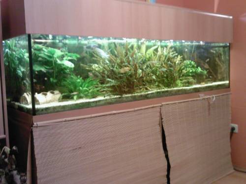 verkaufe komplett eingerichtetes aquarium liter