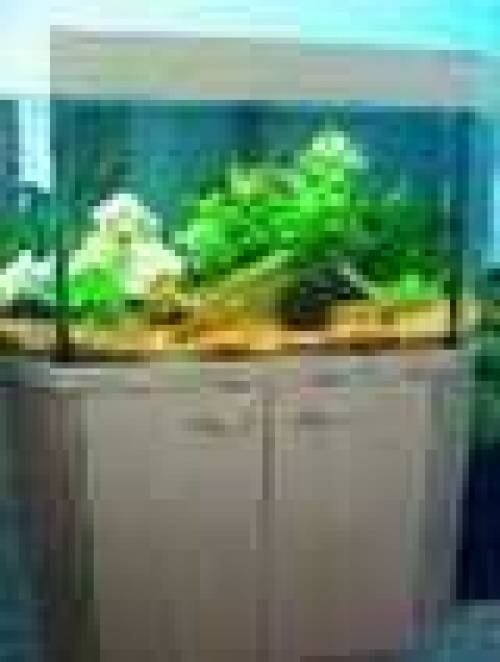 aquarium inklusive zubeh�r viel und fischbesatz
