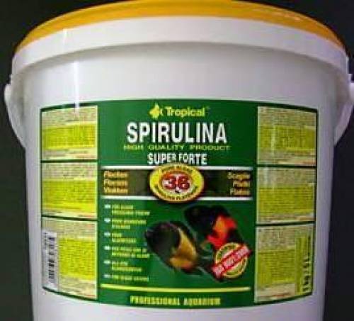 super spirulina forte pflanzliches flockenfutter mit hohem s