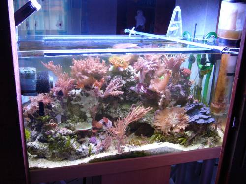 wundersch�nes seewasserbecken