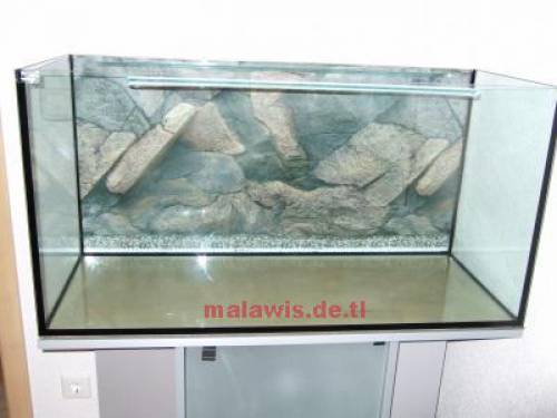 komplettes aquarium x