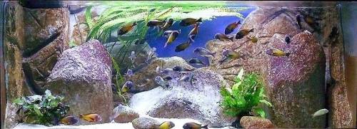 super aquarium mit allem drum und dran