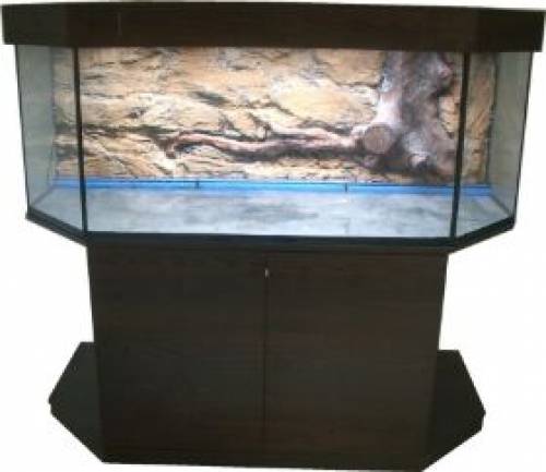 panorama aquarium mit back to nature r�ckwand