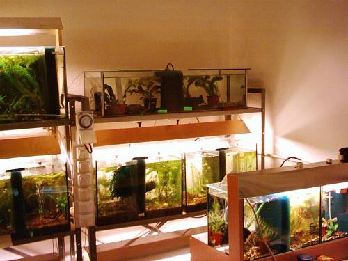 zuchtanlage komplett