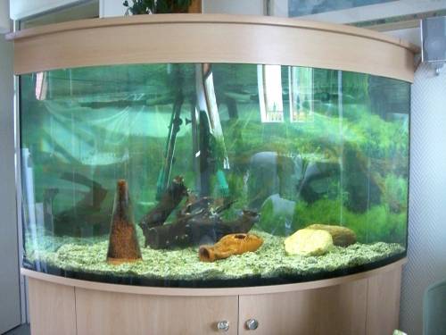 sch�nes aquarium zu verkaufen