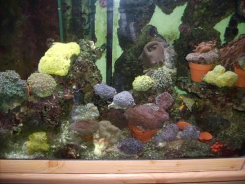 meerwasserladen in blaustein