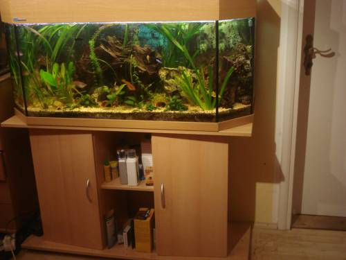 verkaufe l aquarium von mp
