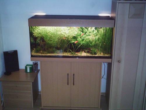  l aquaium mit unterschrank zubeh�r fische zu verkaufen