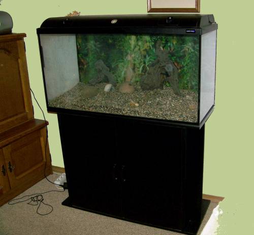  l aquarium mit unterschrank und viel zubeh�r jahre alt