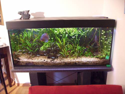 juwel aquarium l